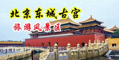 x0x03p性交中国北京-东城古宫旅游风景区